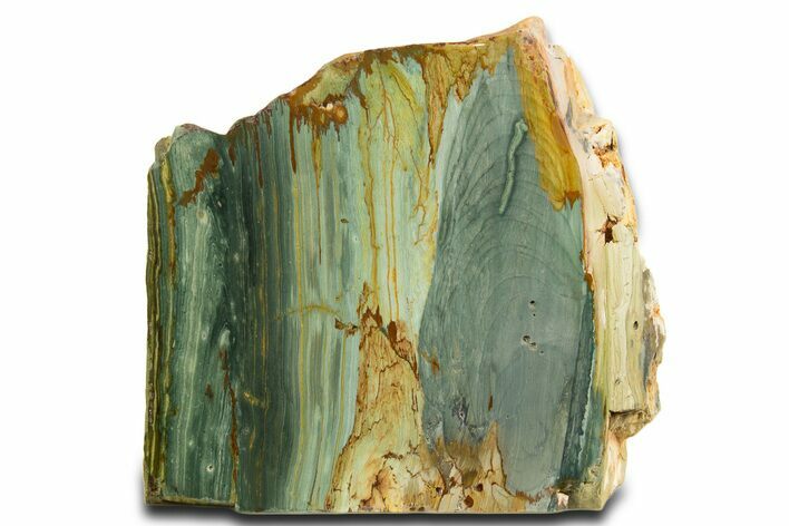 Free-Standing, Gary Green Jasper (Larsonite) Bog Wood - Oregon #334849